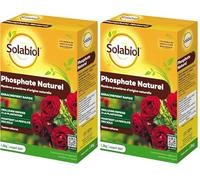 SOLABIOL Engrais Phosphate Naturel - 2x1,5Kg - Jusqu'à 50m² - Améliore La Floraison - Optimise La Formation Des Racines - Pour Toutes Les Cultures - Utilisable En Agriculture Biologique