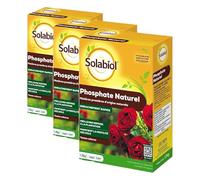 SOLABIOL Engrais Phosphate Naturel - 3x1,5Kg - Jusqu'à 50m² - Améliore La Floraison - Optimise La Formation Des Racines - Pour Toutes Les Cultures - Utilisable En Agriculture Biologique