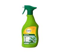 SOLABIOL Insectes Plantes D'Intérieures - Pulvérisateur - 500ml - Prêt A L'Emploi - Action Choc - Agit Par Contact - Efficace Sur Pucerons Cochenilles & Acariens Sol'Insect SOPVPAL500