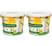SOLABIOL Protection des Arbres Blanc Arboricole - seau 1L - Barrière physique contre les parasites, des champignons, mousses - 2 à 3 arbres SOBLANC1 (Lot de 2)