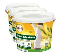 Solabiol Protection des Arbres Blanc Arboricole - Seau 3L - Barrière Physique Contre Les parasites, des Champignons, mousses - 6 à 9 Arbres SOBLANC3 (Lot de 3)