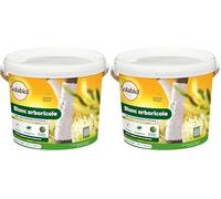 Solabiol Protection des Arbres Blanc Arboricole - Seau 3L - Barrière Physique Contre Les parasites, des Champignons, mousses - 6 à 9 Arbres SOBLANC3 (Lot de 2)