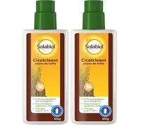 SOLABIOL SOCICAT3 Cicatrisant-Plaies De Taille 300 G, (Lot de 2)