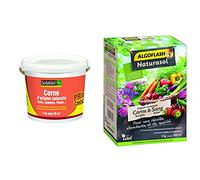 Solabiol SOCOR4 d'origine Naturelle 4 Kg Prix Choc | 100% Corne broyée, Puissant & ALGOFLASH NATURASOL Engrais Contenant de la Corne torréfiée et Sang Séché, Jusqu'à 100m², ACORNBIO3, Vert, 3 kg