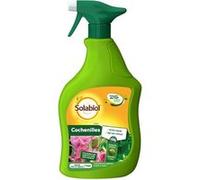 Solabiol Anti-cochenilles Pulvérisateur prêt à l'emploi 750 ml – Élimine œufs, larves et adultes