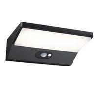 Paulmann Applique murale d'extérieur solaire Ronas 94335 LED 3000K détecteur gris foncé