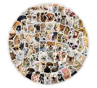 Solidchoice - 100 autocollants esthétiques pour chiens