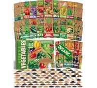 Solidchoice - Coffret de 100 graines biologiques de légumes et d'herbes aromatiques
