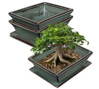 Solidchoice - Coffret de 2 pots en céramique pour bonsaï, avec soucoupe