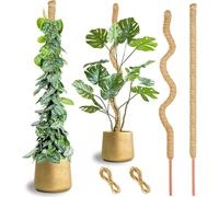 Solidchoice - Grande tige en mousse pour Monstera, 2 x 45 pouces, idéale pour les plantes grimpantes