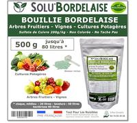 Solu'Bordelaise - 500 g - Bouillie Bordelaise Non Colorée - Fongicide Polyvalent Sulfate de Cuivre - Protection Arbres Fruitiers, Cultures Potagères, Vignes - Utilisable en Agriculture Biologique