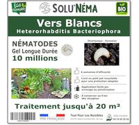 SOLUNEMA - 10 millions de Nématodes HB Contre Les Vers Blancs, larves d'Hanneton et larves d'Otiorhynques - Formulation Gel Longue Durée pour traiter jusqu'à 20 m² - Traitement bio
