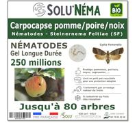SOLU'NÉMA - 250 millions de Nématodes SF Steinernema feltiae contre le Carpocapse du Pommier, Poirier et Noyer - Traitement Biologique des Larves - Protection des Arbres Fruitiers