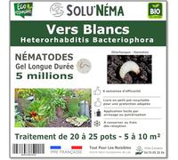SOLUNEMA - 5 millions de Nématodes HB Contre Les Vers Blancs, larves d'Hanneton et larves d'Otiorhynques - Formulation Gel Longue Durée pour traiter jusqu'à 25 pots ou de 5 à 10 m² - Traitement bio
