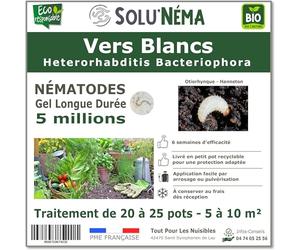 SOLUNEMA - 5 millions de Nématodes HB Contre Les Vers Blancs, larves d'Hanneton et larves d'Otiorhynques - Formulation Gel Longue Durée pour traiter jusqu'à 25 pots ou de 5 à 10 m² - Traitement bio