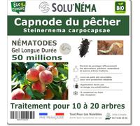 SOLUNEMA - Capnode du pêcher - 50 Millions Nématodes Steinernema Carpocapsae (SC)