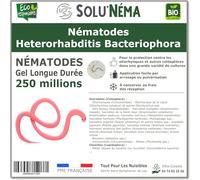SOLUNEMA_HB_250M