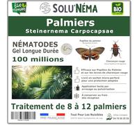 SOLUNEMA - Nématodes Carpocapsae SC Contre Papillon du Palmier et Charançon Rouge - 100 millions - Pour 8 à 12 Palmiers