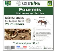 SOLUNEMA - Nématodes Contre Les Fourmis 25M Longue Durée