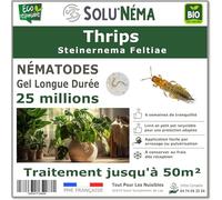 SOLUNEMA - Nématodes Contre les Thrips 25 Millions Longue Durée