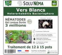 SOLUNEMA - Nématodes Contre Les Vers Blancs 3M Longue Durée