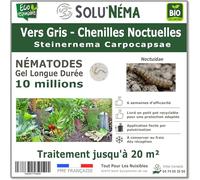 SOLUNEMA - Nématodes contre les vers gris - chenilles noctuelles - 10 Millions Longue Durée
