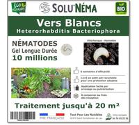 SOLUNEMA - Nématodes HB - Vers Blancs - 10 millions pour environ 20 m²