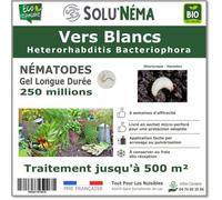 SOLUNEMA - Nématodes HB - Vers Blancs - 250 millions pour environ 250m²