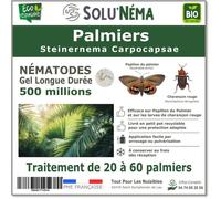 SOLUNEMA - Nématodes SC Contre Papillons du Palmier et Charençon Rouge - 500 millions Steinernema Carpocapsae