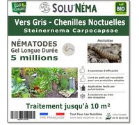 SOLUNEMA - Nématodes SC - Vers Gris - 5 millions Nématodes Steinenerma