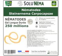 SOLUNEMA - Nématodes Steinernema Carpocapsae - 250 Millions