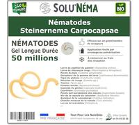 SOLUNEMA - Nématodes Steinernema Carpocapsae - 50 Millions