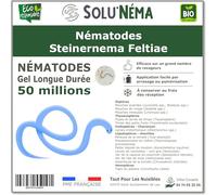 SOLUNEMA - Nématodes Steinernema Feltiae - 50 Millions