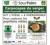 SOLU'PHÉRO - Kit 1 Piège Funnel + 6 Phéromones Contre Le carpocapse du verger (Pommier, Poirier, Noyer) - 1 Capsule 4 Semaines - Phéromone Écologique de Controle de Cydia Pomonella