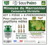 SOLUPHERO - Kit 1 Piège Funnel + 6 Phéromones Mineuse Marronnier Bio - Efficacité par Capsule de 4 à 6 Semaines - Phéromone Écologique de Contrôle de Cameraria Ohridella