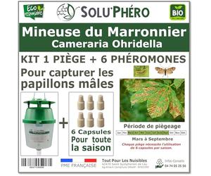 SOLUPHERO - Kit 1 Piège Funnel + 6 Phéromones Mineuse Marronnier Bio - Efficacité par Capsule de 4 à 6 Semaines - Phéromone Écologique de Contrôle de Cameraria Ohridella
