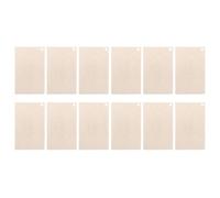 SOLUSTRE 12 Pièces Plaque Mica pour Four à Micro-ondes, Accessoire de Guide D'ondes Résistant Chaleur Élevée, Bloque Vapeur et Huile, Feuille de Mica