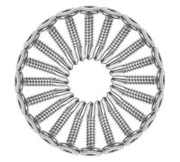 SOLUSTRE Vis Autotaraudeuse en Acier Inoxydable 5.5x25 Mm, Tête Ronde Plate, Embout Hexagonal Interne, Lot de 20 Pièces, Fixation pour Clôture, Vis Métallique Autoperceuse pour Portail