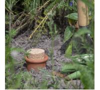 Solution d'arrosage autonome en terre cuite - Olla XL -