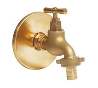 SOMATHERM FOR YOU - Kit robinet d'arrosage orientable à potence 15/21-20/27 + applique murale avec rosace de finition en laiton brut - Mâle 1/2" (15/21) - Sortie raccord au nez 3/4" (20/27) - Installa
