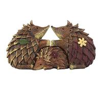 something different - Famille de hérisson décorative (Taille Unique) (Marron)