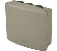 Somfy Récepteur Portail/Porte de Garage 2400556 – Extérieur Universel Technologie RTS
