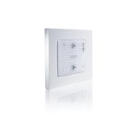 Somfy 2401221 - Lanceur de Scénarios pour TaHoma | Commande Radio Murale de 2 Scénarios TaHoma