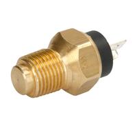 Sonde de température, liquide de refroidissement FAE 34020
