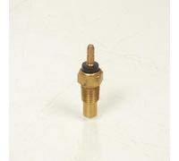 Sonde De Température P2r Pour Moto Chinois 50 Motocycle Neuf
