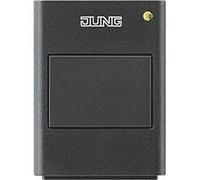 Sonde d'humidité radio / Émetteur radio à bouton-poussoir VLO.EWA.FFS55.PWS de Aereco - 510023
