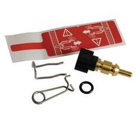 Sonde sanitaire- ELM LEBLANC - 87145000540