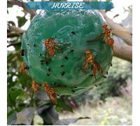 Sonew piège collant à mouches Boule de piège à mouches suspendue, 4 pièces, piège collant pour fruits, attrape-mouches jardin Vert
