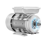 SONHANGIA Moteur électrique, 750 W, 1400 tr/min, monophasé | Moteur mobile avec arbre de 19 mm e protection IP55, bobine en cuivre pur, boîtier en aluminium pour pompes