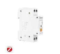 SONOFF BASIC-ZB1GSP Interrupteur connecté sur rail DIN Zigbee 3.0 32A suivi consommation protection surcharge bipolaire domotique